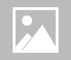 爱游戏娱乐-ADA突遭安全漏洞，流失高达490万美元