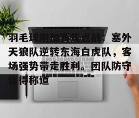 AYX SPORTS-羽毛球附加赛焦点战：塞外天狼队逆转东海白虎队，客场强势带走胜利。团队防守值得称道的简单介绍