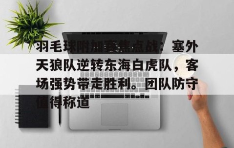 AYX SPORTS-羽毛球附加赛焦点战：塞外天狼队逆转东海白虎队，客场强势带走胜利。团队防守值得称道的简单介绍